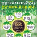엔젤스토리 네이버블로그