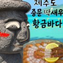 황금초밥 | [제주 중문 맛집] 황금초밥: 숨은 딱새우·한치물회 맛집 후기 (내돈내산)