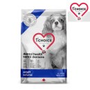 퍼스트덴탈 이미지