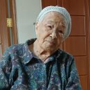 제중의원 동아일보