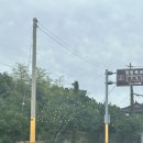 공단로가로수 이미지