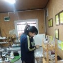 노용래농장 네이버블로그