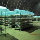 왕림농장 이미지