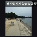 백사장사계절숲속야영장