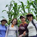 명당3리경로당 이미지