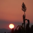 당신있어좋은세상 이미지