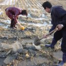 농촌전통테마마을 이미지