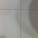 더드림 | 빛드림홈케어 화장실 바닥 줄눈시공 후기 / 시흥장현 더포레마제