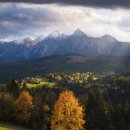 방행자 151. 슬로바키아의 단풍은 이미지