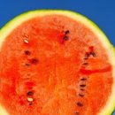 우곡농장 이미지