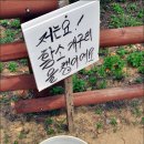 사구해수욕장2 이미지