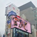 좌포교 | 2/11 도쿄역과 신주쿠