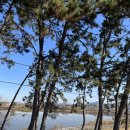 염소꿈농원 이미지