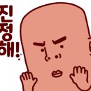 제주액티브