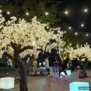 수원청소년문화센터 이미지