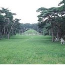 나 살던 고향 이미지