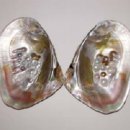 태평양광택 이미지