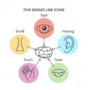 〔주식회사 더드림〕 Hope 보호자 트레이이닝 센터/작업치료 인지강화 특별강의 후기/ 인제대 작업...