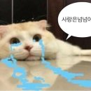 굿스마일팜