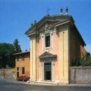 바오밥나무 이미지