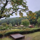 용인농촌테마파크 종합체험관 네이버블로그