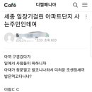 디매에 올라온 세종 일장기 아파트 목격담 이미지