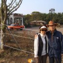 제주올래 이미지