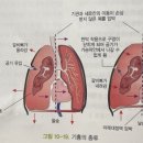 양스짐 이미지