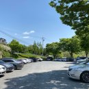 도음산 산림문화수련장 이미지