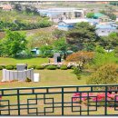 안견기념관 이미지