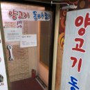 양고기동아리 이미지