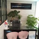 상호약국 이미지