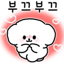 퍼피루시드 이미지