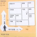 피노키오복싱 이미지