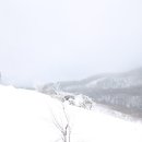 힐링강릉 이미지