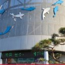 경기도 양평군 용문초등학교 이미지