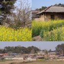 주산초등학교 이미지