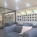 굿바이펫 이미지