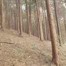 도산면사무소 이미지