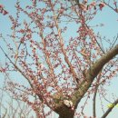 순성농장 이미지