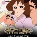 애니마인드