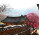 여수39수산 이미지