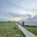 바얀불락 이미지