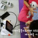 부평24시 SKY 동물의료센터 이미지