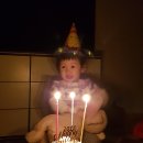 사시사철 흑염소.오리 이미지