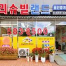 도안리슈빌 이미지