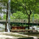 문정골산장민박 이미지