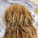 종근농장 이미지