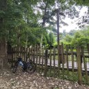 예찬이네 선불후면 이미지