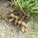 김정기농장 이미지